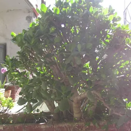 Appartamento Cagliari דירה קליארי
